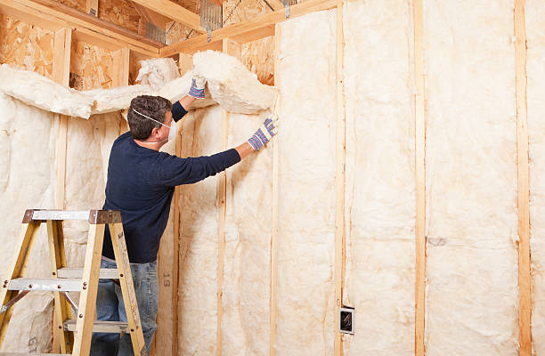 Eco-Friendly or Green Insulation Solutions in Tariffville, CT